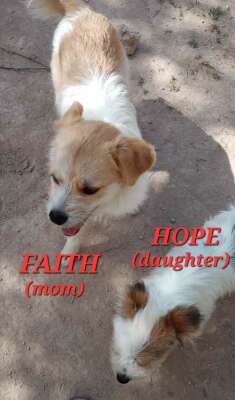 Faith and Hope